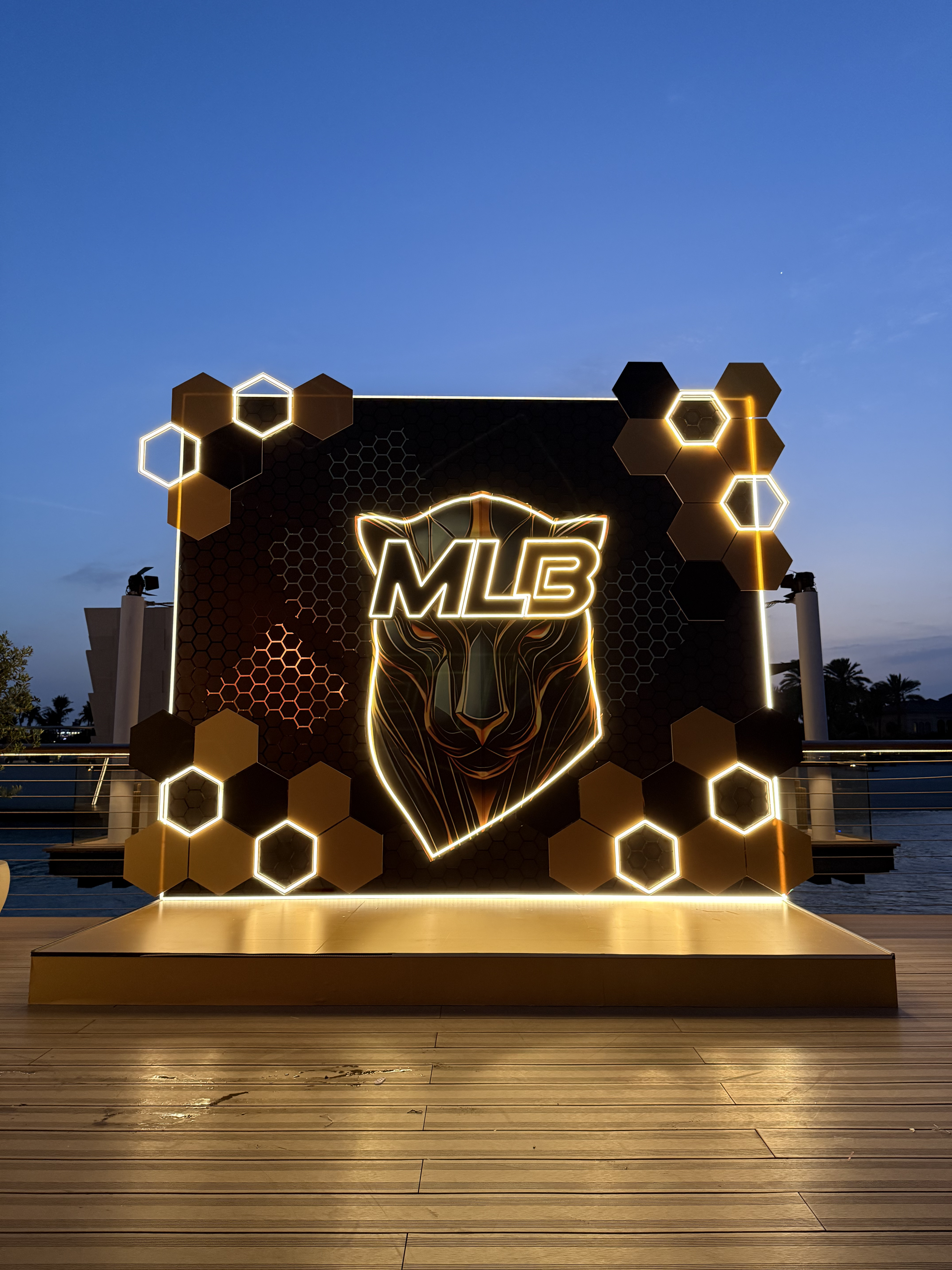 MLB Corporate Event